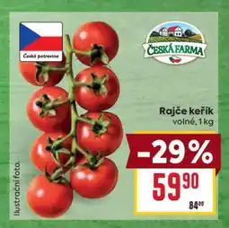 Billa Rajče keřík nabídka