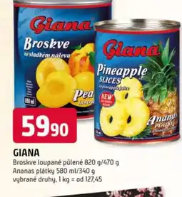 Trefa GIANA nabídka