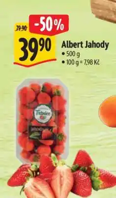 Albert Albert Jahody nabídka