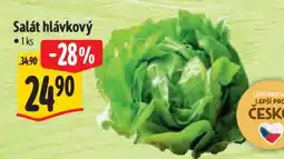 Albert Salát hlávkový nabídka