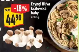 Albert Eryngi Hlíva královská baby nabídka