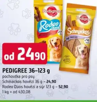 Trefa PEDIGREE nabídka