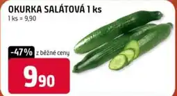 Trefa Okurka salátová nabídka