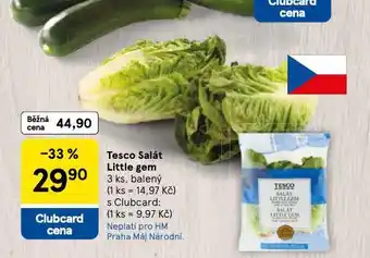 Tesco Salát little gem nabídka