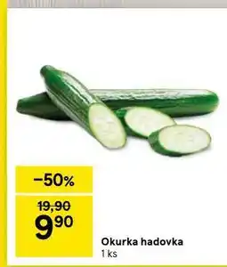 Tesco Okurka hadovka nabídka