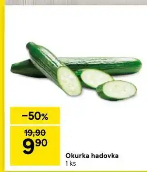 Tesco Okurka hadovka nabídka