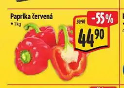 Albert Paprika červená nabídka