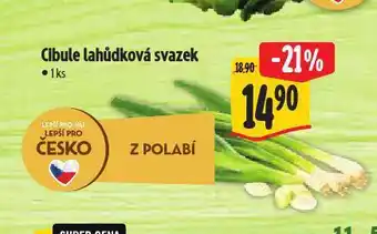 Albert Cibule lahůdková nabídka