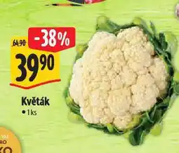 Albert Květák nabídka