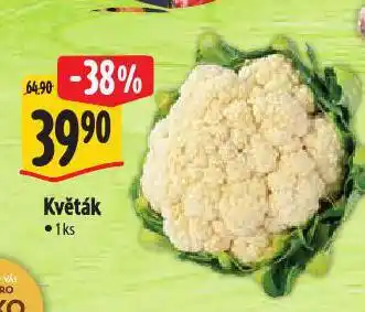 Albert Květák nabídka