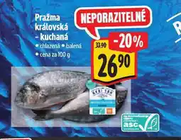 Albert Pražma královská nabídka