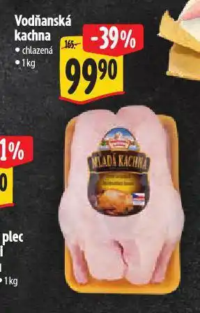 Albert Vodňanská kachna nabídka