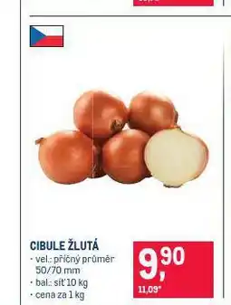 Makro Cibule žlutá nabídka