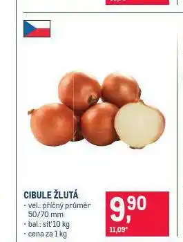 Makro Cibule žlutá nabídka