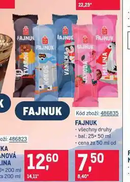 Makro Fajnuk zmrzlina nabídka