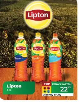 Tamda Foods Lipton nabídka