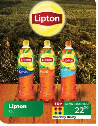 Tamda Foods Lipton nabídka