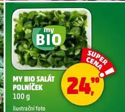 Penny Market My bio salát polníček nabídka