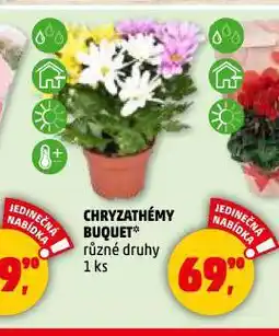 Penny Market Chryzanthémy buquet nabídka