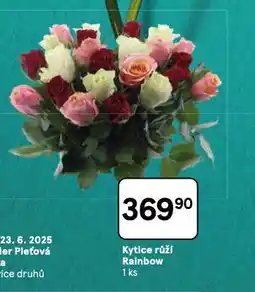 Tesco Kytice růží raibow nabídka