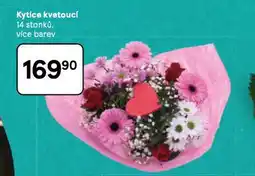 Tesco Kytice kvetoucí nabídka