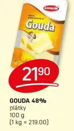 Flop Gouda 48% nabídka