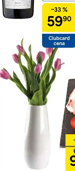 Tesco Kytice tulipánů nabídka