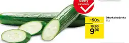 Tesco Okurka hadovka nabídka
