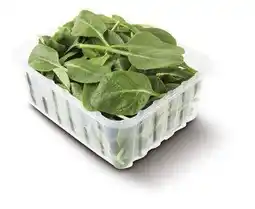 Lidl Baby špenát 125 g nabídka