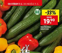 Lidl BIO OKURKA SALÁTOVÁ, 1 ks nabídka