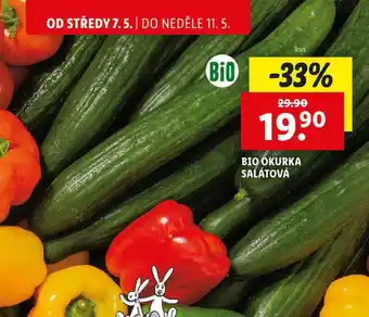 Lidl BIO OKURKA SALÁTOVÁ, 1 ks nabídka