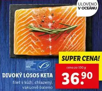 Lidl DIVOKÝ LOSOS KETA, cena za 100 g nabídka