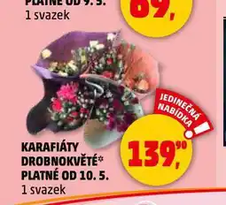 Penny Market Karafiáty nabídka