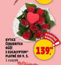 Penny Market Kytice červených růží s eucalyptem nabídka
