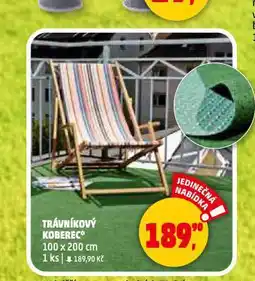 Penny Market Trávníkový koberec nabídka