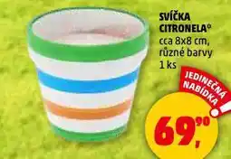 Penny Market Svíčka citronella nabídka