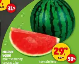 Penny Market Meloun vodní nabídka