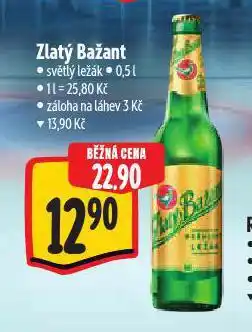 Albert Pivo zlatý bažant nabídka