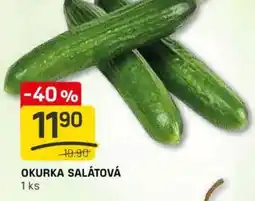 Flop Okurka salátová nabídka