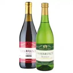 Flop Lambrusco 0,75l, vybrané druhy 0.75l nabídka