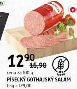 Terno Písecký Gothajský salám 100g nabídka