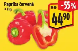 Albert Paprika červená nabídka