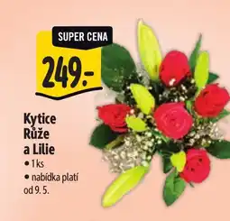 Albert Kytice Růže a Lilie nabídka