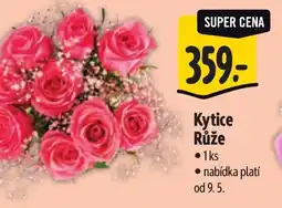 Albert Kytice Růže nabídka
