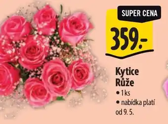 Albert Kytice Růže nabídka