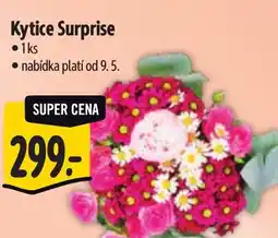 Albert Kytice Surprise nabídka