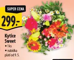 Albert Kytice Sweet nabídka