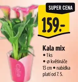 Albert Kala mix nabídka