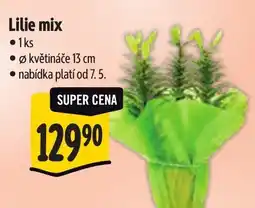 Albert Lilie mix nabídka