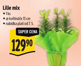 Albert Lilie mix nabídka
